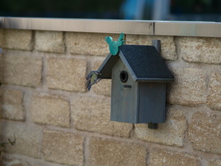 Vogel im Landeanflug