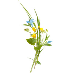 bouquet of the field (wild) flowers, easter colors, isolated