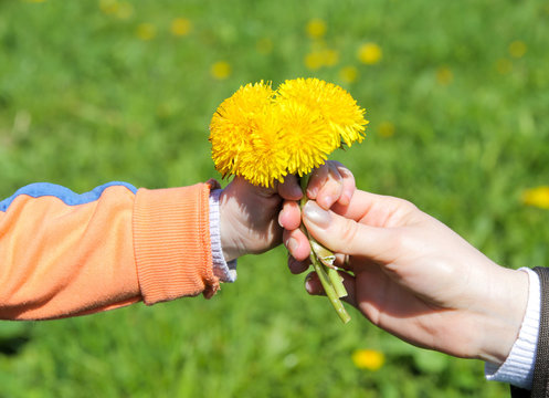 Close up of womans hand giving little  yellow  flower to child