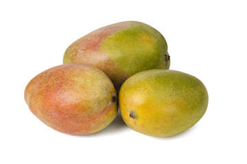 Three juicy fresh mango isolated.
