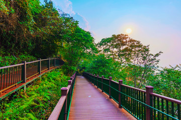 Plakat Path with sunset and forest