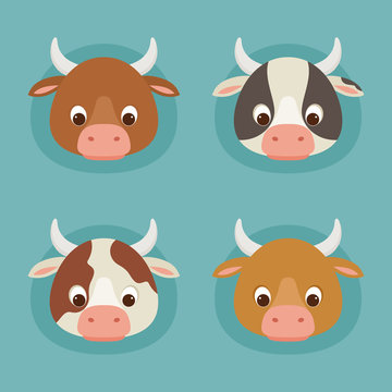 Four cute cartoon cow heads