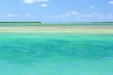 Florida Keys bay