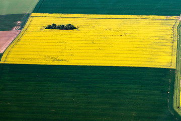 Champs de colza pr&egrave;s de Paris, vus d'avion