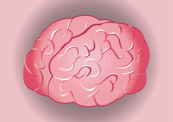 Pink brain with pink background