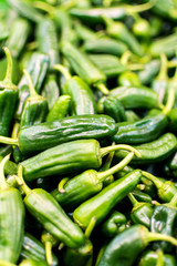 Organic Padron Green Peppers Background. Stack of Raw Padron Peppers Close Up.