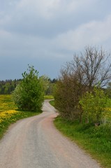 Naturweg führt schlängelnd durch Frühlingslandschaft