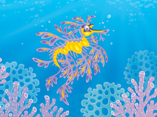 Exotic leafy sea dragon among corals on a tropical reef