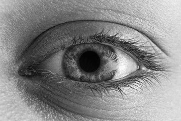 Female Bright Eye With Long Lashes Close Up. Human Eye Macro Detail.