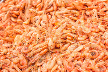 Shrimps background texture. A lot of sea shrimp or pattern of krill. Sea food like shrimp or krill...