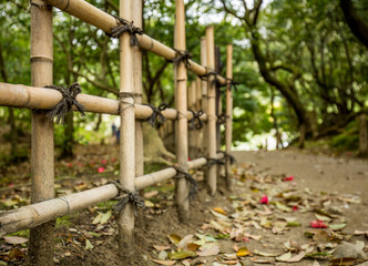 Gravel footpath in the Ritsurin Koen-Chestnut Grove Garden between bamboo fences