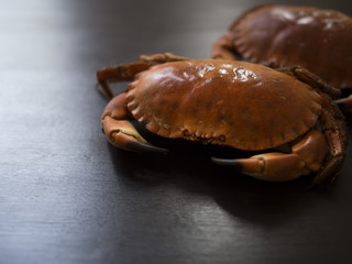 Two whole brown crabs with claws and legs isolated on black wooden table