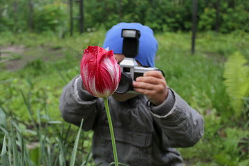 Little boy is taking pictures of a red tulip flower. Babe irers in the photographer in role-playing games of great importance in the development of children. A young photographer takes a flower.