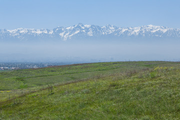 Green field, blue sky, mountain view