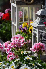 Beautiful flowers for mother's day