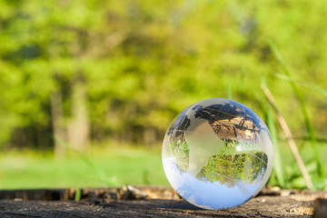 the concept of nature, green forest. Crystal ball on a wooden stump with leaves.