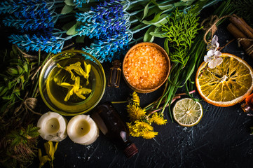 Aromatherapy. Dry flowers. Healing Herbs. Top view