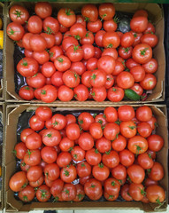 Fresh tomatoes in supermarket.