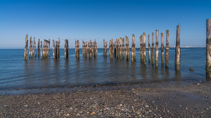  pilings at the ocean with blue sky backgrounds at Point Roberts,USA