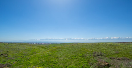 Green field, blue sky, mountain view