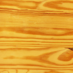 Pine wood, veneer background