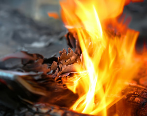 fire in the fire burns out of paper, burn the pages of a book on the coals with flying sparks..