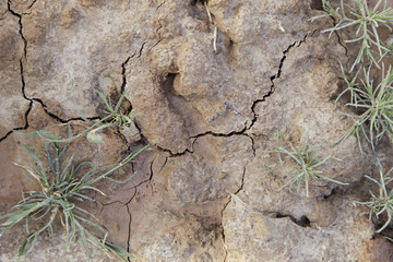 Dry land in a field