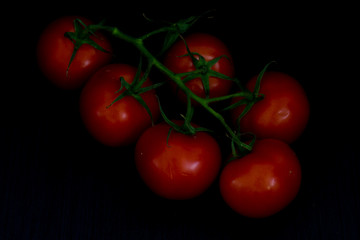 Tomatoes on the twig. Isolated. Black background.