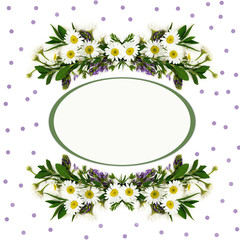 Wild flowers arrangements on white spotted background