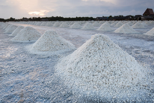 Rows Of Salt Fields At Sunset