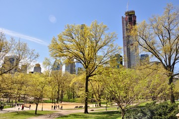 Obraz premium Frühling im Central Park