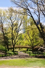 Central Park New York
