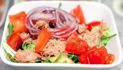 fresh vegetables salad of tomatoes, cucumbers, greens and onions with meat and ham on a white plate