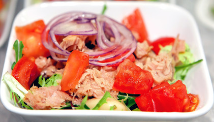 fresh vegetables salad of tomatoes, cucumbers, greens and onions with meat and ham on a white plate