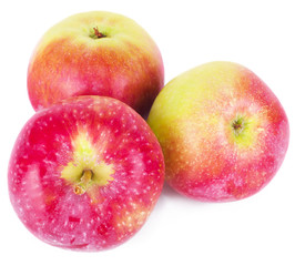 Apple three red green acidic sweet apples with a sprig of green and the shadow of the isolated on white background