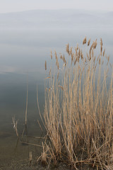 A misty day in Sapanca Lake