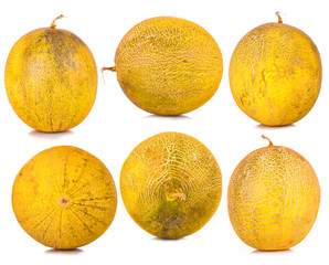 melon six different sides sweet yellow striped round melons to select isolated on white background
