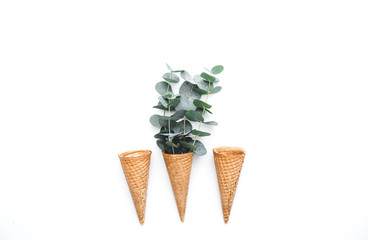 Waffle cone with green leaves eucalyptus