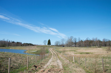 Fototapeta na wymiar Countryside landscape with a dirt road leading to a wooden cottage and electric fence for sheep yard. Isolated trees on top of the hill and blue sky with a forest in the distance.