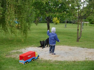 dziecko bawi się z psem w ogrodzie