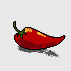 Red paprika vector illustration