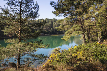 Fototapeta na wymiar Beautiful vibrant landscape image of old clay pit quarry lake with unusual colored green water