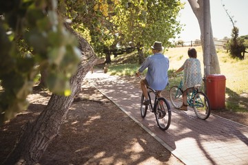 Rear view of couple riding bicycle at footpath