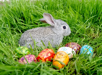 Easter bunny eggs on green grass