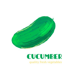 Fresh cucumber isolated on white background.