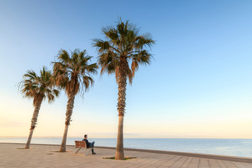 Young man sitting on a bench under the palm trees listening music looking at the sea