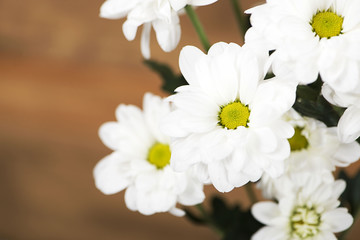 Fototapeta premium Close-up of flowers on wooden background. Daisy flower. Decor.