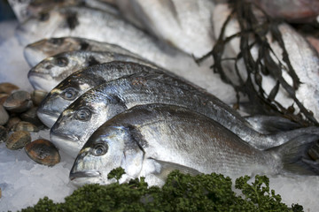 the Wild sea bass for sale at Borough Market, London