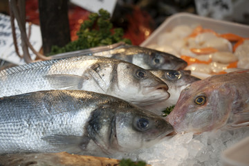 the Wild sea bass for sale at Borough Market, London