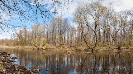 Fototapeta premium Spring landscape. A forest river with trees on the coasts